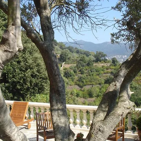 Ventilizia * Bastia (Corsica)