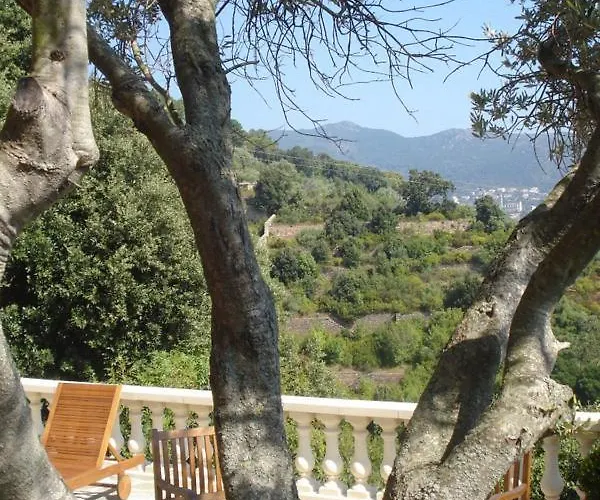 Ventilizia * Bastia (Corsica)